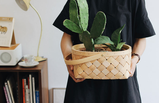 Lorem Ipsum passages, and more recently